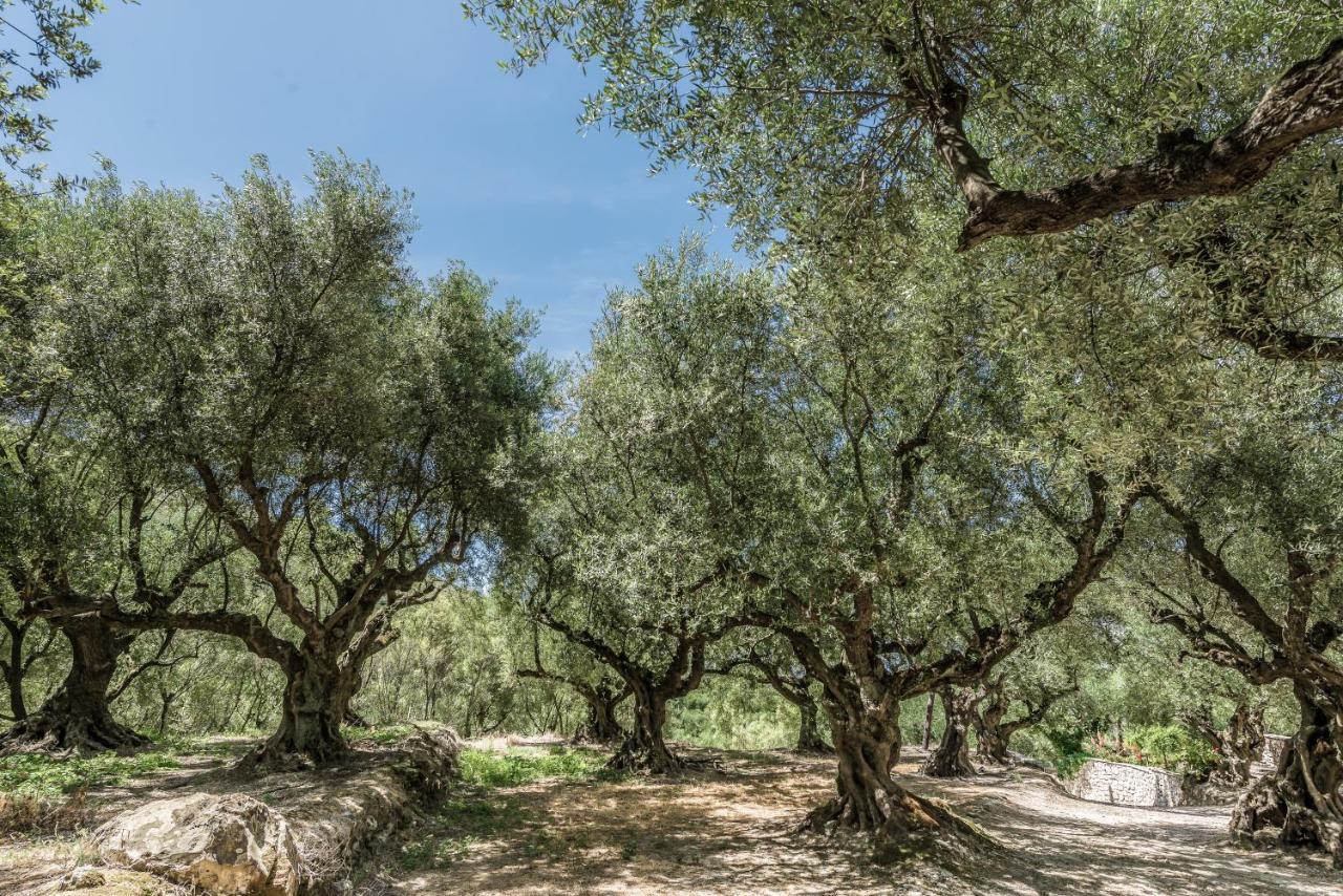 Agrikia Villa Langadhákia Dış mekan fotoğraf