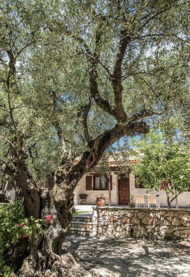 Agrikia Villa Langadhákia Dış mekan fotoğraf